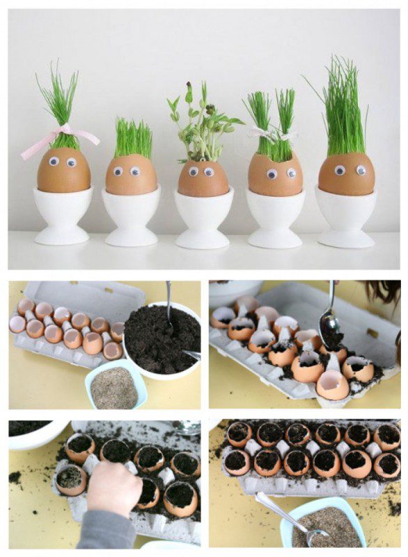 reciclar huevos para plantar plantitas