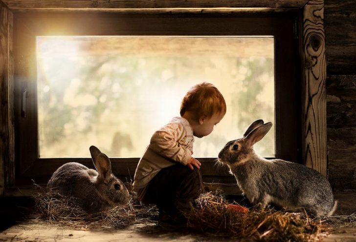 foto con conejos niño bebé