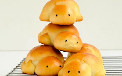 Pan de tortuga: recetas infantiles