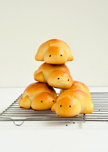 Pan de tortuga: recetas infantiles