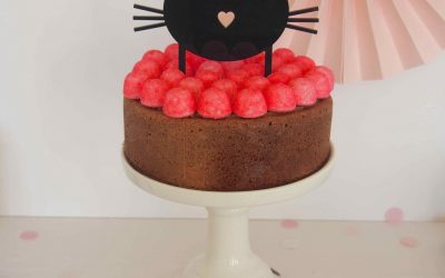 Fiesta infantil de mininos: ¡un cumpleaños gatuno!