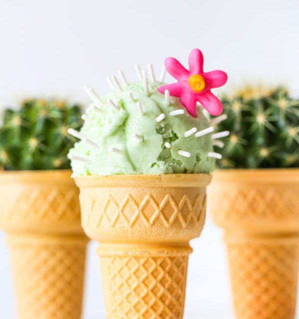 Helados caseros de cactus para el verano: recetas infantiles originales