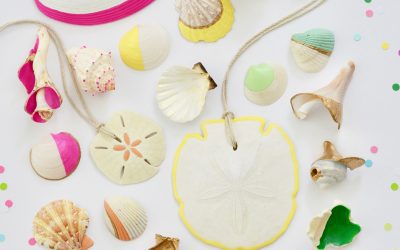 Actividades de verano: decoración de conchas marinas