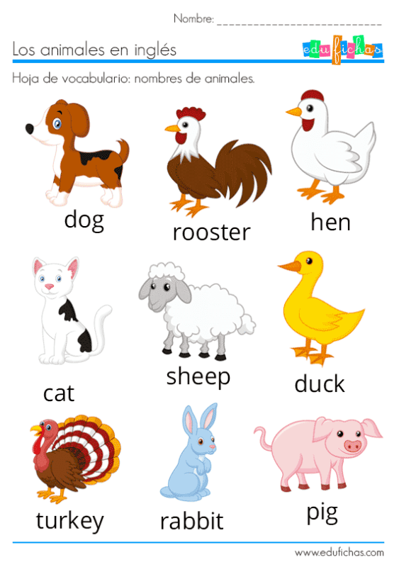 Nombres de los animales en inglés para enseñar a niños