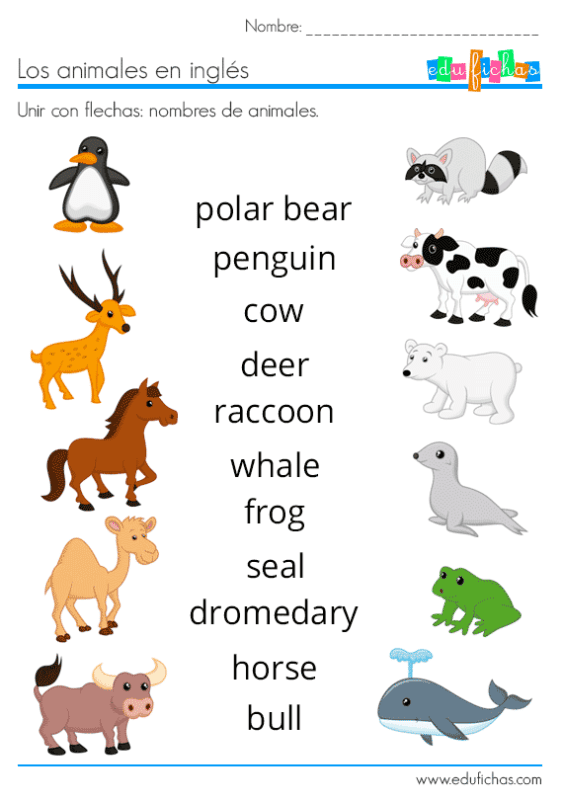 Nombres de animales en inglés para enseñar a niños