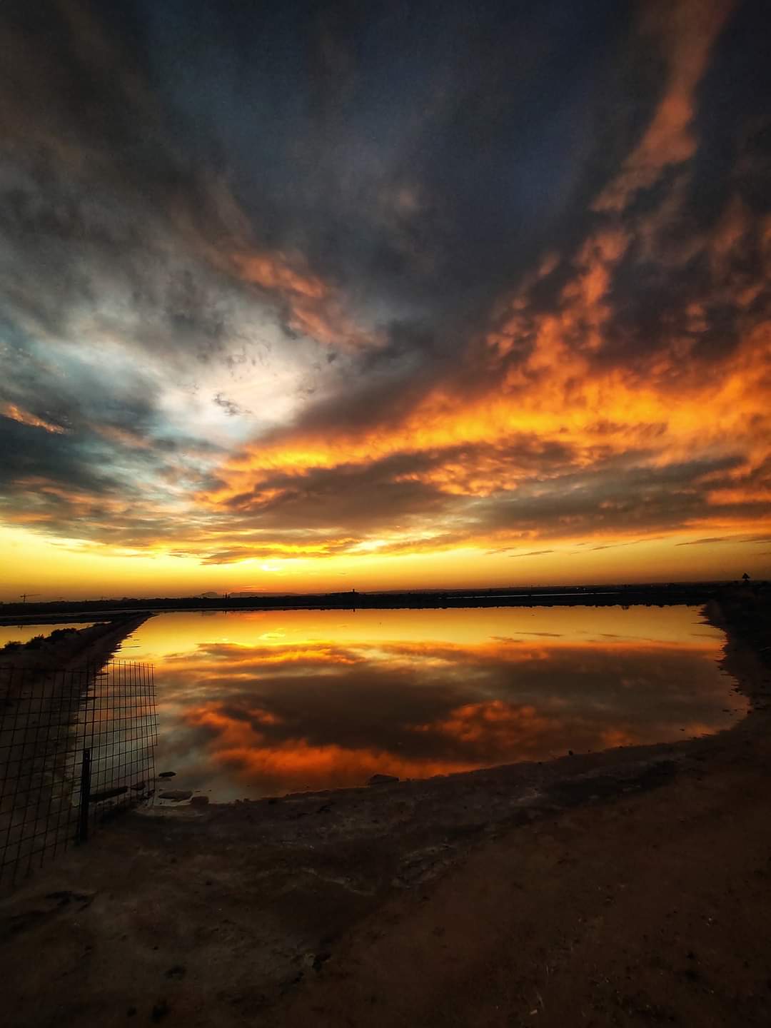 san pedro del pinatar