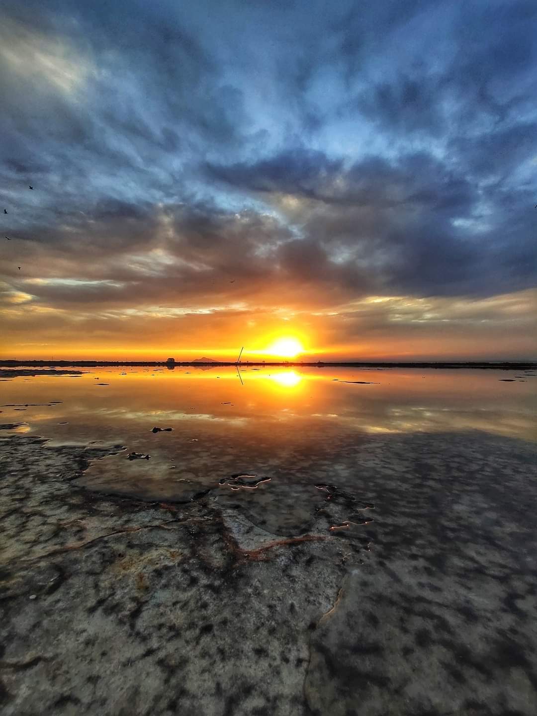 SAN PEDRO DEL PINATAR